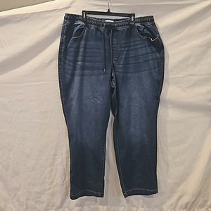 Lane Bryant dark wash ankle jeans Size 22